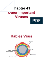 Rabies Virus: Structure, Pathogenesis, Prevention