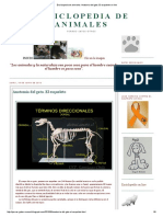 Enciclopedia de Animales_ Anatomia Del Gato