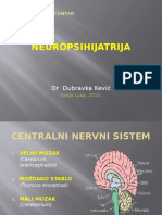 Centralni Nervni Sistem