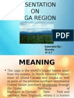 Presentation on the Taiga Region
