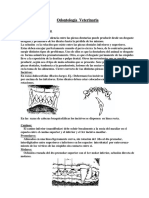 Ortodoncia PDF