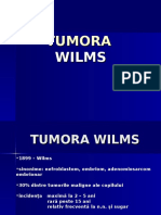 Tumora Wilms