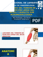 Lesiones Del Tendon de La Porción Larga Del Biceps y Bursitis Sub Acromio Subdeltoidea.