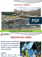 Diapositivas Manejo de Cal y Cianuro.pptx