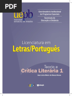 Teoria e Critica Literaria