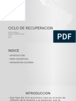 Ciclo de Recuperacion