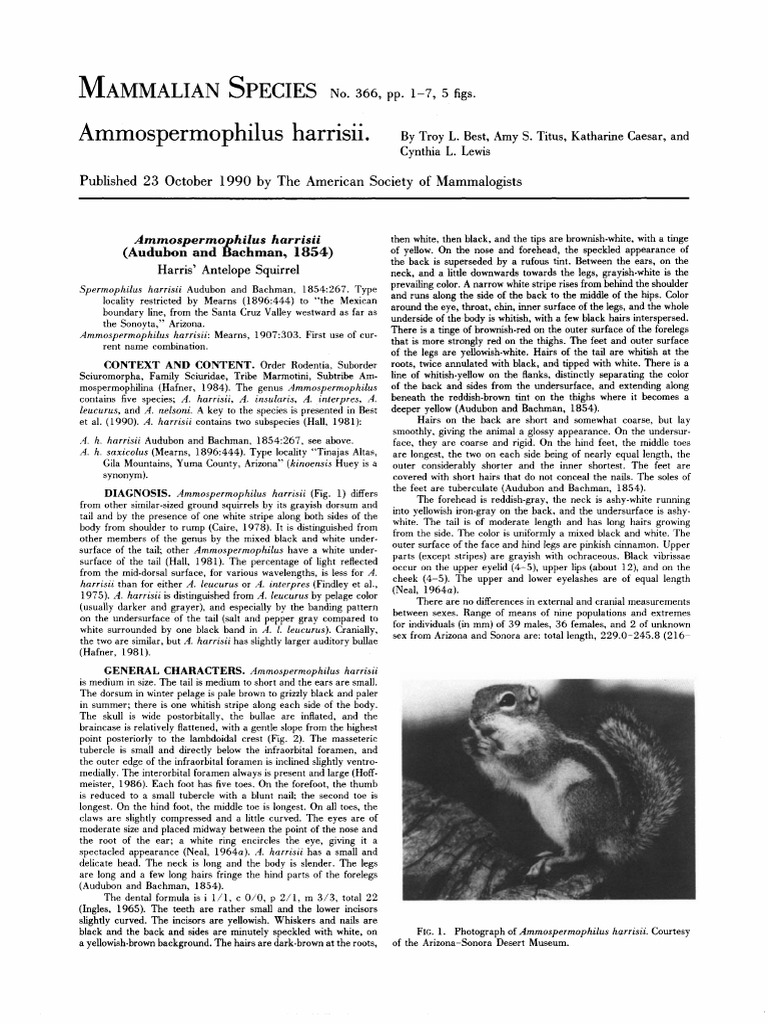 Ammospermophilus Harrisii PDF