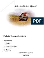 aulaColheitacana.ppt