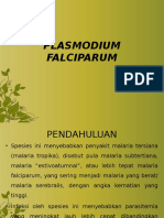 Plasmodium Falciparum