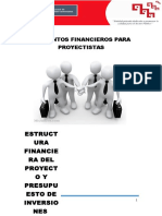 Estructura Financiera Del Proyecto