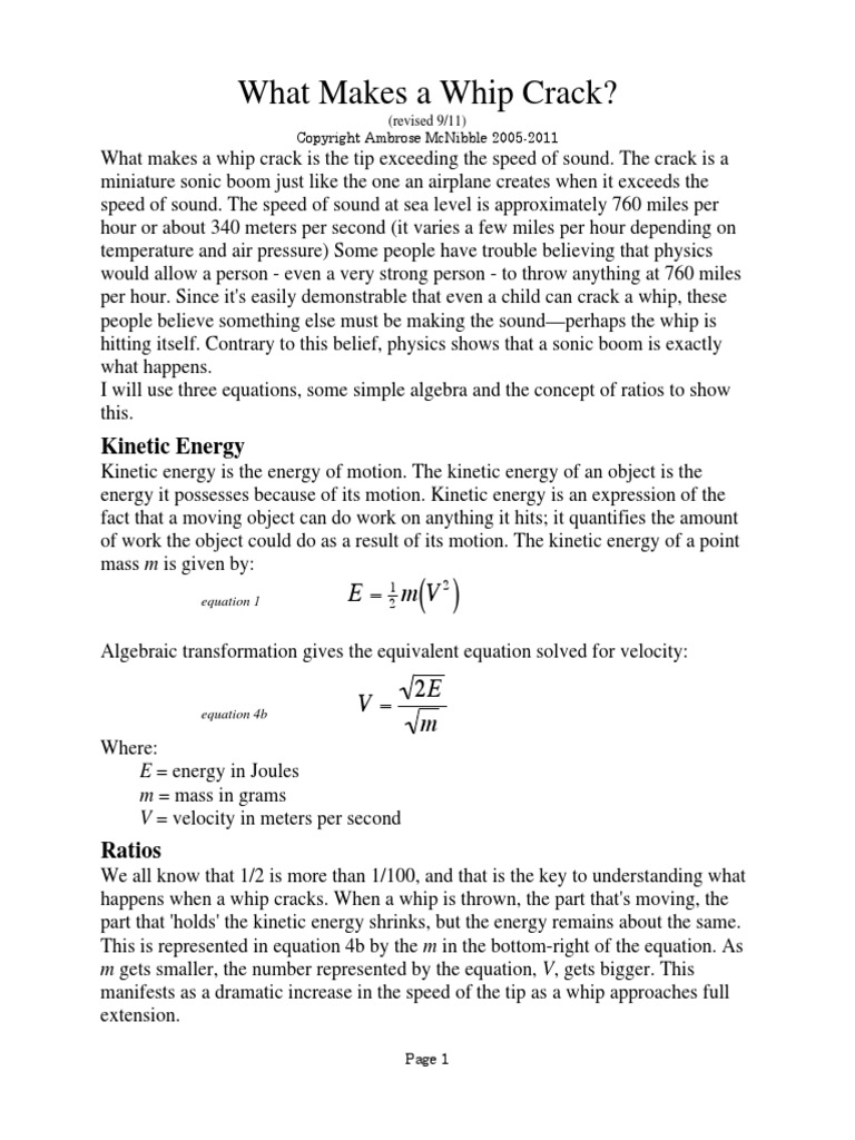 Why Whips Crack PDF Energy Whip