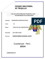 VICENTE MUÑOZ ROSSANA- INFORMES1.doc