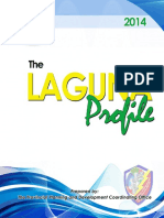 Laguna Profile as of feb 23,2015.pdf