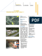 Brenner Base Tunnel Prospecting Lot E51 WOLF 1"