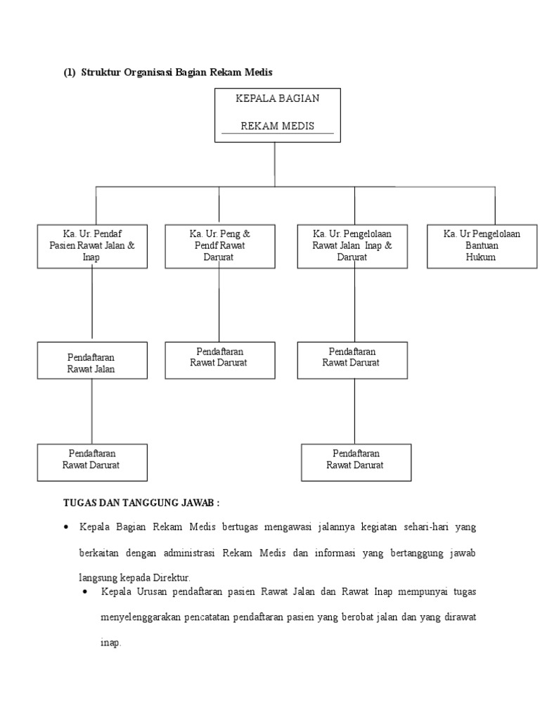 Struktur Organisasi Rekam Medis Di Rumah Sakit - Berbagai ...