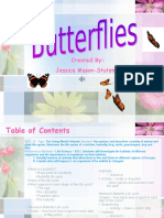 Presentation On Butterflies