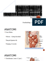 Referat Anatomi, Fisiologi, Dan Patologi Usus Halus