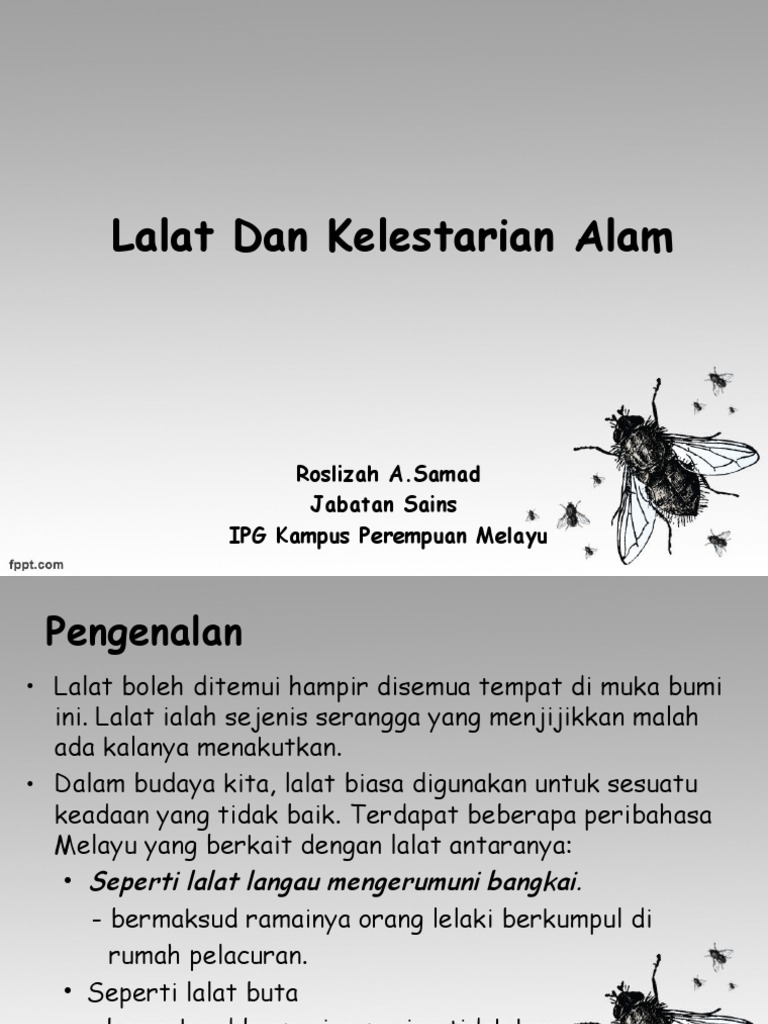 Lalat Edited 5 Mei 2016 Pdf