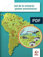 La Realidad de La Minería Ilegal en Países Amazónicos SPDA