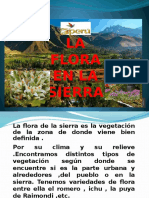 La Flora en La Sierra2