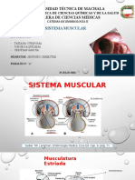 Muscularatura de Cabeza y Extremmidades