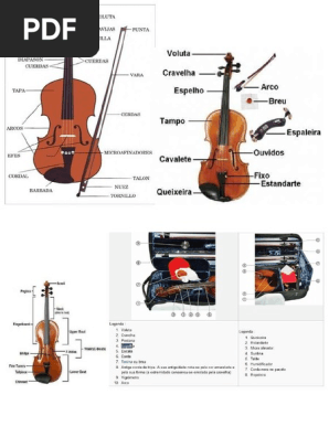 Partes Del Violin En 1 Hoja En Portu Esp Ingles