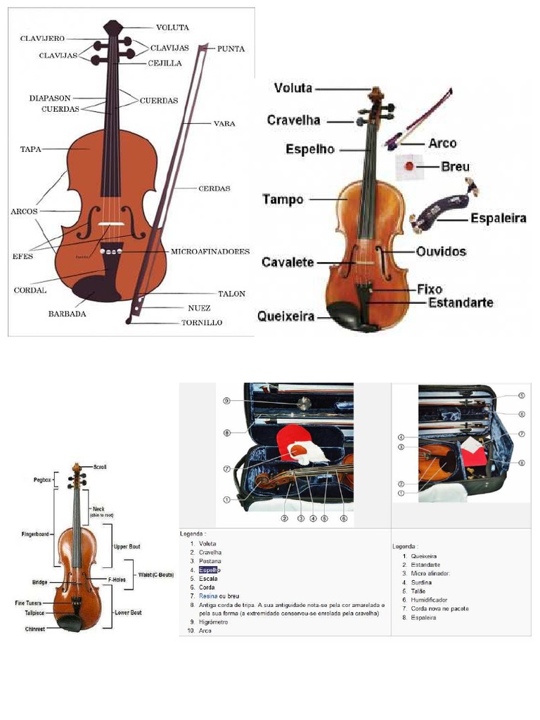 Partes Del Violin En 1 Hoja En Portu Esp Ingles