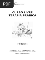 curso de pranaterapia