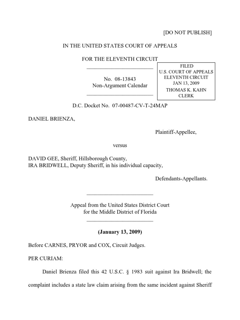 Daniel Brienza v. David Gee, 11th Cir. (2009) PDF Driving Under The Influence Summary Judgment