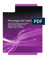 Psicología del Trabajo. Alcover de la Hera.pdf