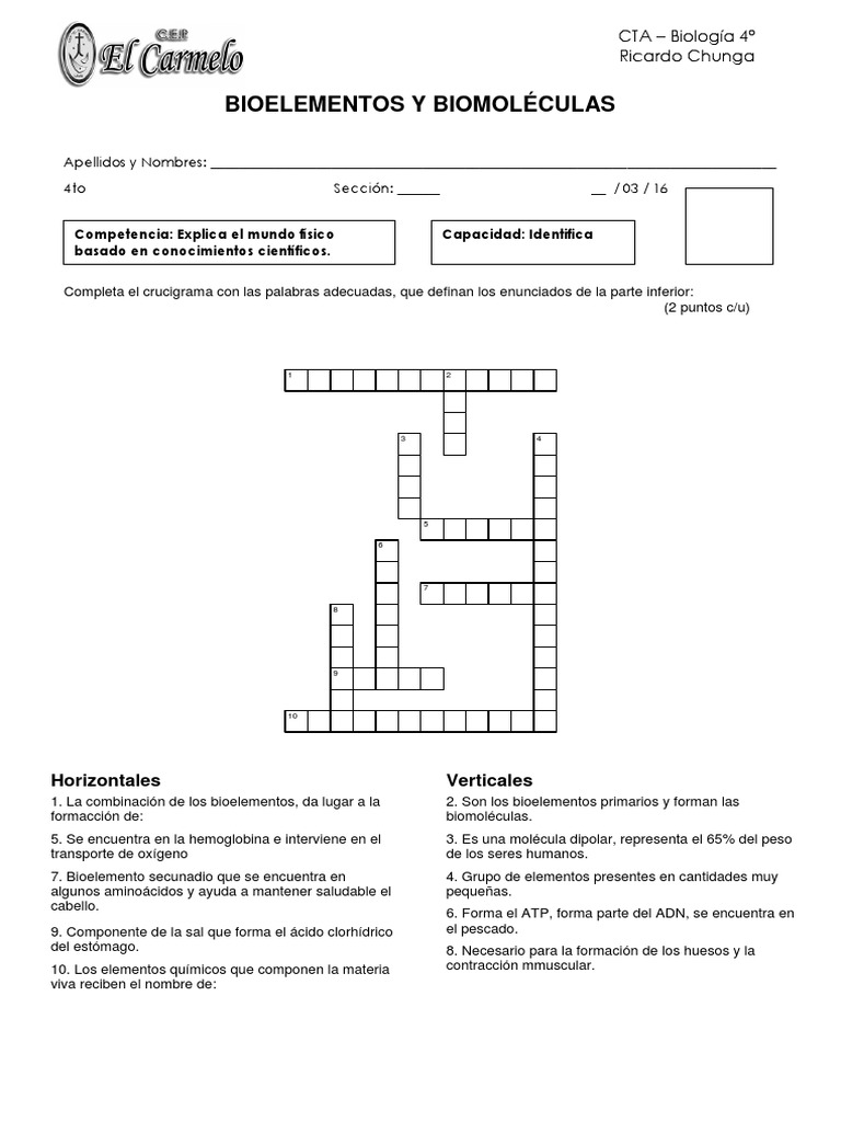 Actividades sobre Bioelementos y Biomoléculas | PDF | Biomoléculas ...