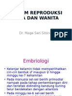 Embriologi Sistem Reproduksi Pria Dan Wanita