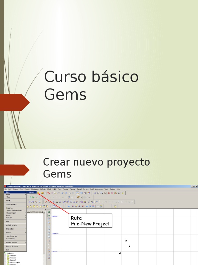 Guía de Proyectos y Sondajes en Gems | PDF | Informática