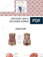 Referan PPT Danis 2