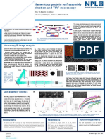 Real Time Imaging of Filamentous Protein Self Assembly by Structured Illumination and TIRF Microscopy