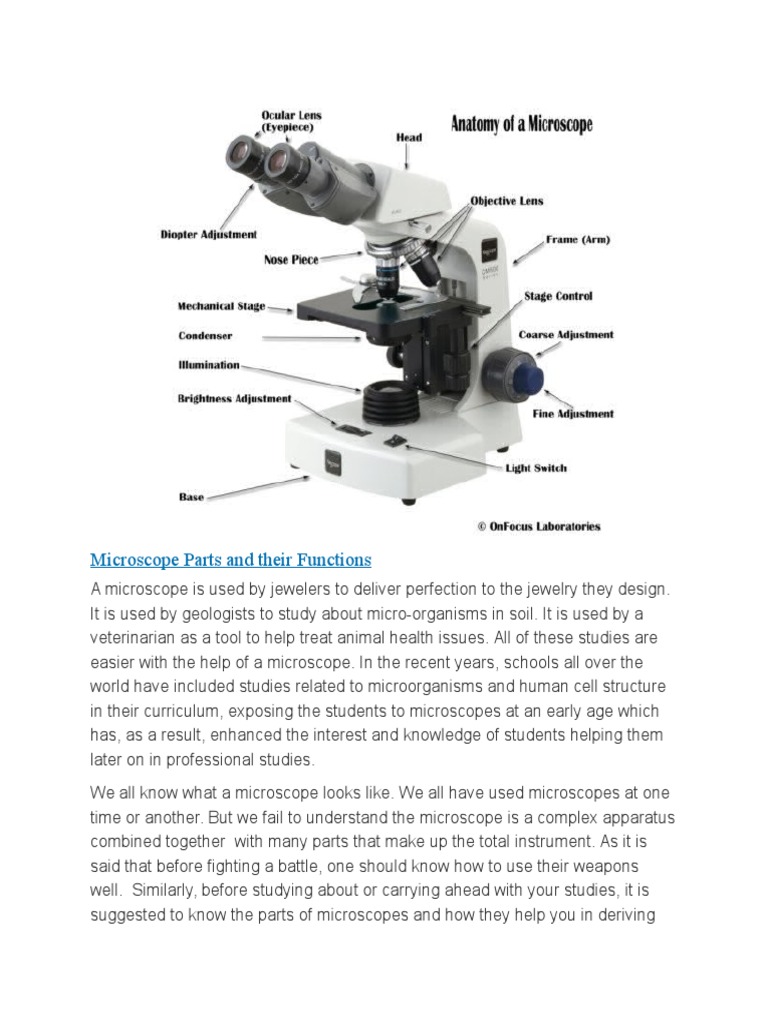 Microscope Parts and Their Functions Microscope Lens (Optics)