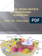 Organite Nedelimitate de Membrane - Ribozomii UTM 2015 BIOMOL