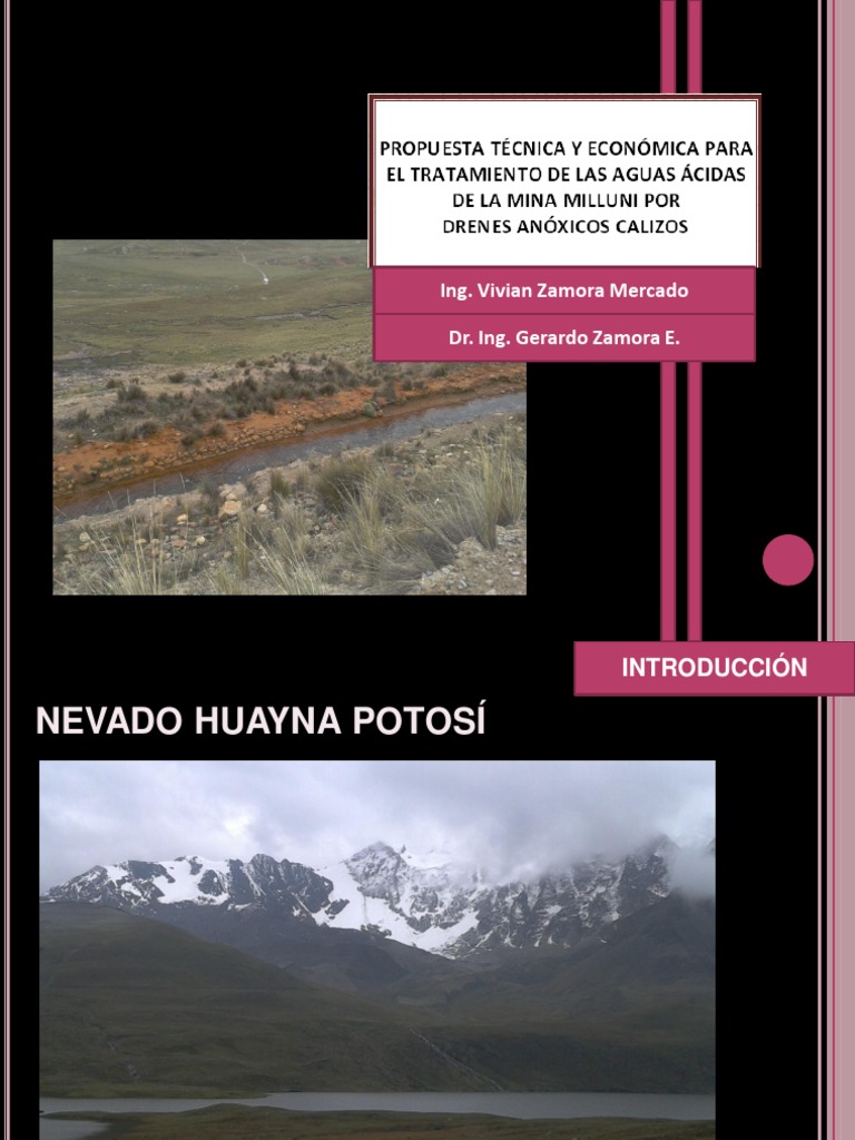 ALD Presentación Vivian Zamora Potosí 3 PDF