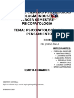 Psicopatologia Del Pensamiento