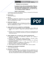 06 TDR-Asistencia Técnica y Registro de Los Proyectos_HUANUCO