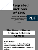 Synaps Org Integrat Function CNS