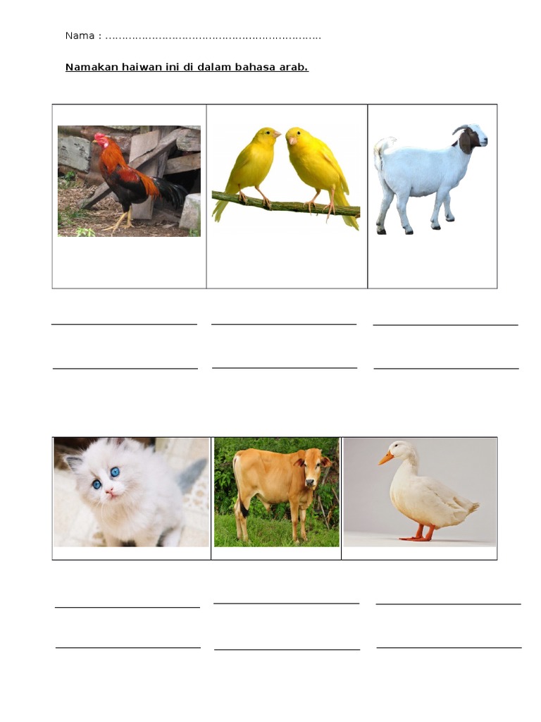 Namakan Haiwan Ini Di Dalam Bahasa Arab Pdf