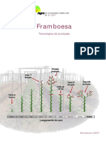 3_framboesa_tecnologias_de_producao_1369130376.pdf