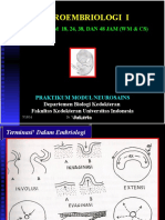 Praktikum Neuroembriologi I (PSPD UP 2012)