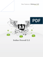 Endian 2.3 NEW Features