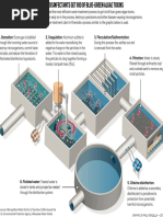 Water disinfectants get rid of blue-green algae toxins