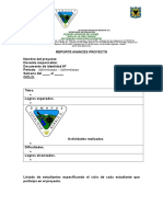 Formato Avances de Proyectos