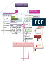 Caso 2 Renal