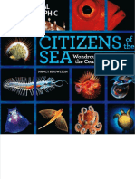 Citizens of The Sea