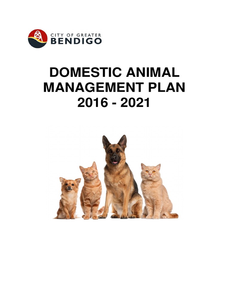 Domestic Animal Management Plan 2021 | PDF | Pet | Leash